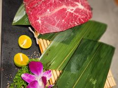 -杨小佳·齐齐哈尔烤肉·烤串(广州店)