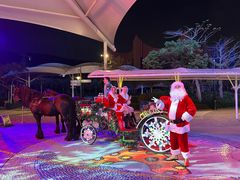 -珠海横琴长隆《卡卡虎奇遇记》