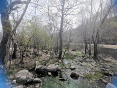 -玉渡山自然风景区