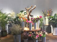 -听香·678茶铺(猛追湾店)
