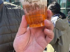 -哈利波特魔法世界