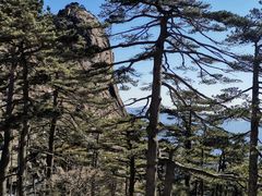 -黄山风景区