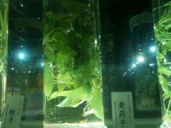 -广东中医药博物馆