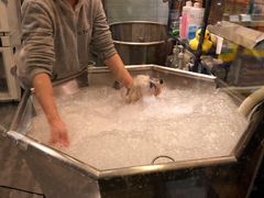 -PETKIT小佩宠物(古北店)