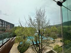 -逸廊大堂吧-下午茶·简餐-千岛湖自由洲际殿