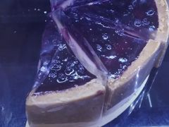 -哈根达斯(陆家浜路店)