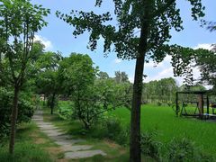 -洪湖家庭农场·团建·露营·会议