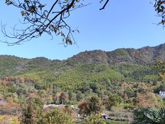 -塔川景区