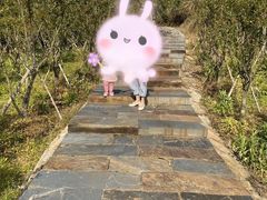-梅岭月亮湾山体公园