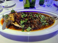 -百味地锅鸡(二店·财校分店)