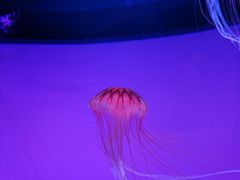 -沈阳海洋探索中心