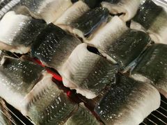 -本炙炭烤·蒲烧活鳗料理店(金沙洲店)