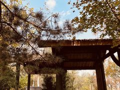 -阳台山自然风景区