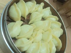 -白记饺子馆多伦道店