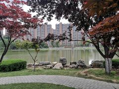 -木塔寺遗址生态公园