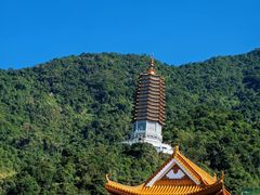 -深圳仙湖植物园