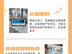 -日照海滨国家森林公园