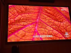 -足本纪·足道 SPA 简餐 小吃(文三西路店)