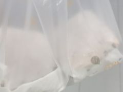 -华莱士·炸鸡汉堡(奥林花园店)
