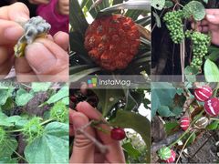 -龙坑生态保护区