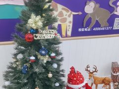 -瑞思英语·少儿英语启蒙(河西·梅江第六田园校区)