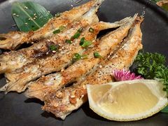 -弓二·烧鸟居酒屋(财富购物中心店)