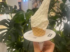-野人先生Gelato(上海长宁龙之梦店)