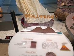 -浙江自然博物院(杭州馆)