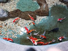 -嘉兴海底世界