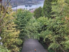 -竹林寺