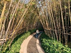 -美的鹭湖森林度假区