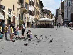 -圣母百花大教堂穹顶