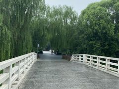 -大兴滨河森林公园