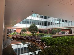 -香港大学
