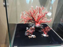 -绮丽珊瑚(台北101旗舰门市店)