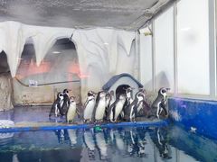 -太平洋海底世界