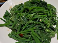 木姜油拌丝瓜尖-小土豆北方菜馆(文慧园店)