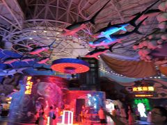 -烟台海昌鲸鲨海洋公园