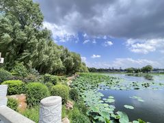 -长春市南湖公园