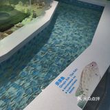 彩色🐸青蛙第一次见哦