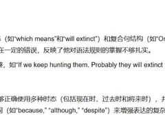 -上海星河湾双语学校