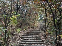 -杭州半山国家森林公园