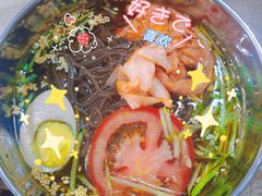 -吉林延边牛肉汤饭，大冷面