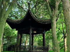 -杭州植物园