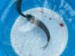 -酷鱼垂钓CLUB(朝阳区博大路店 )