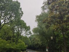 -宝界山林公园