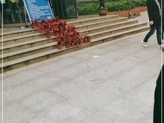 -武汉大学-桂园餐厅