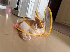 -美联众合动物医院·24h京西诊疗中心