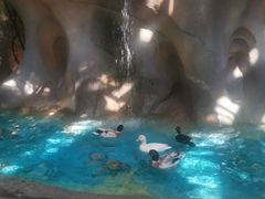 -杭州开元森泊度假乐园