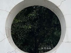 -合肥大剧院